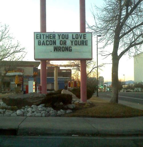 EITHER YOU LOVE BACON OR YOURE WRONG